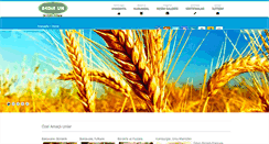 Desktop Screenshot of bedirun.com