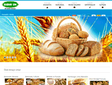 Tablet Screenshot of bedirun.com